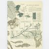 Notebooks Cognitive Surplus | Evolution Softcover Notebook | Charles Darwin