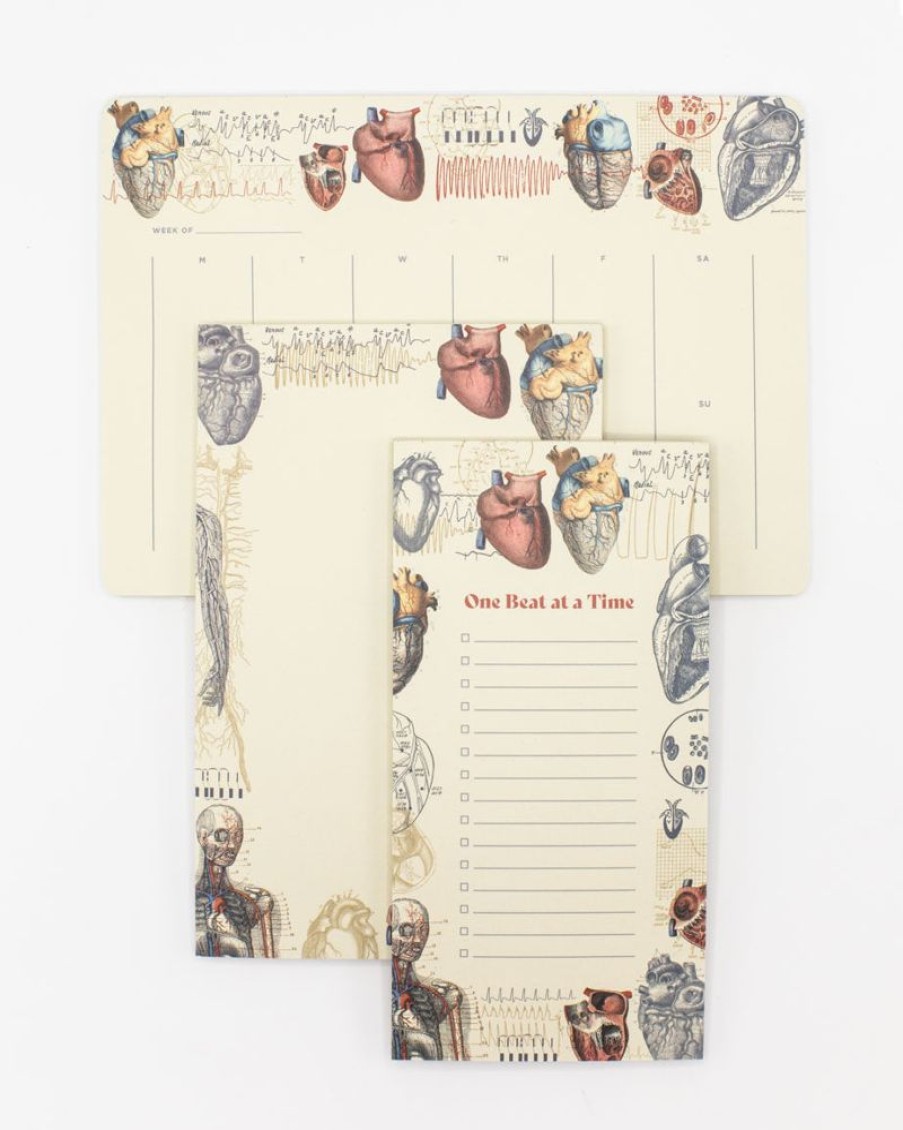 Stationery Cognitive Surplus | Heart Anatomy Notepads - Vintage Medicine Pad | Cognitive Surplus