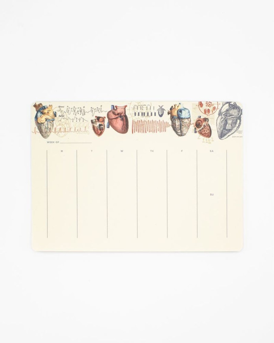 Stationery Cognitive Surplus | Heart Anatomy Notepads - Vintage Medicine Pad | Cognitive Surplus