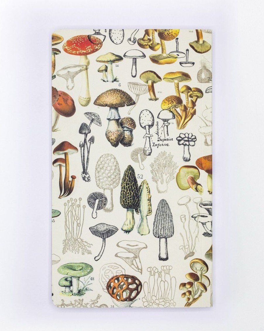 Notebooks Cognitive Surplus | Mushrooms Yearly Planner