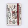 Notebooks Cognitive Surplus | Anatomy & Physiology Observation Softcover