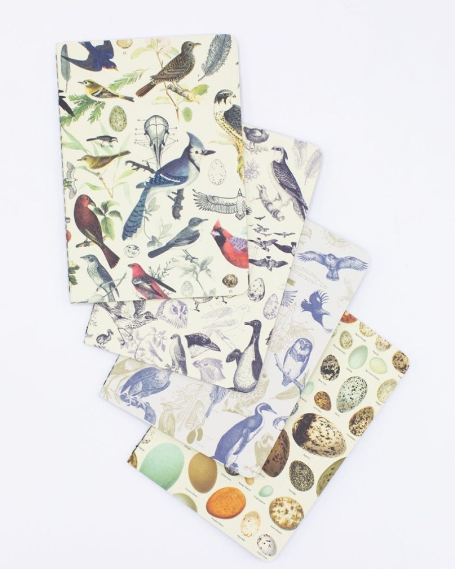 Notebooks Cognitive Surplus | Birds: Ornithology Pocket Notebook 4-Pack