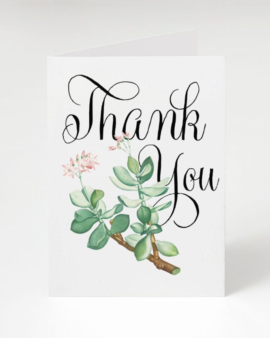 Stationery Cognitive Surplus | Succulent Greeting Card - Thank You Card | Cognitive Surplus