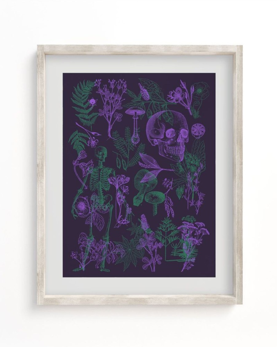 Wall Art Cognitive Surplus | Poisonous Plants Pl 2 Scientific Illustration Museum Print