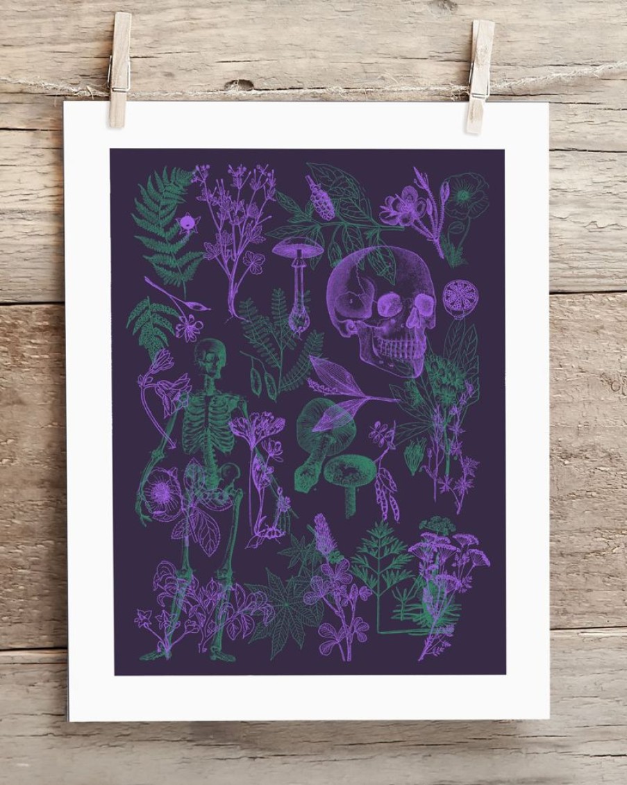 Wall Art Cognitive Surplus | Poisonous Plants Pl 2 Scientific Illustration Museum Print