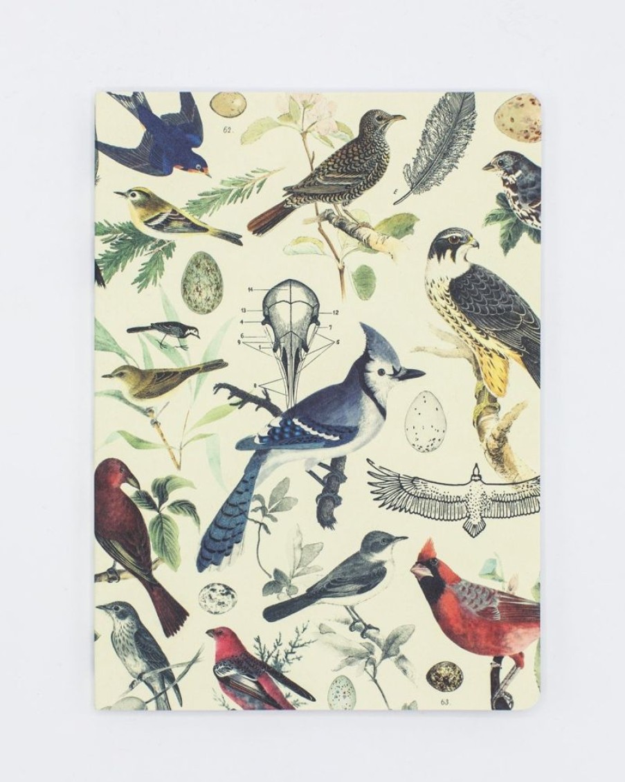 Notebooks Cognitive Surplus | Birds Of Prey Notebook - Softcover| Ecology