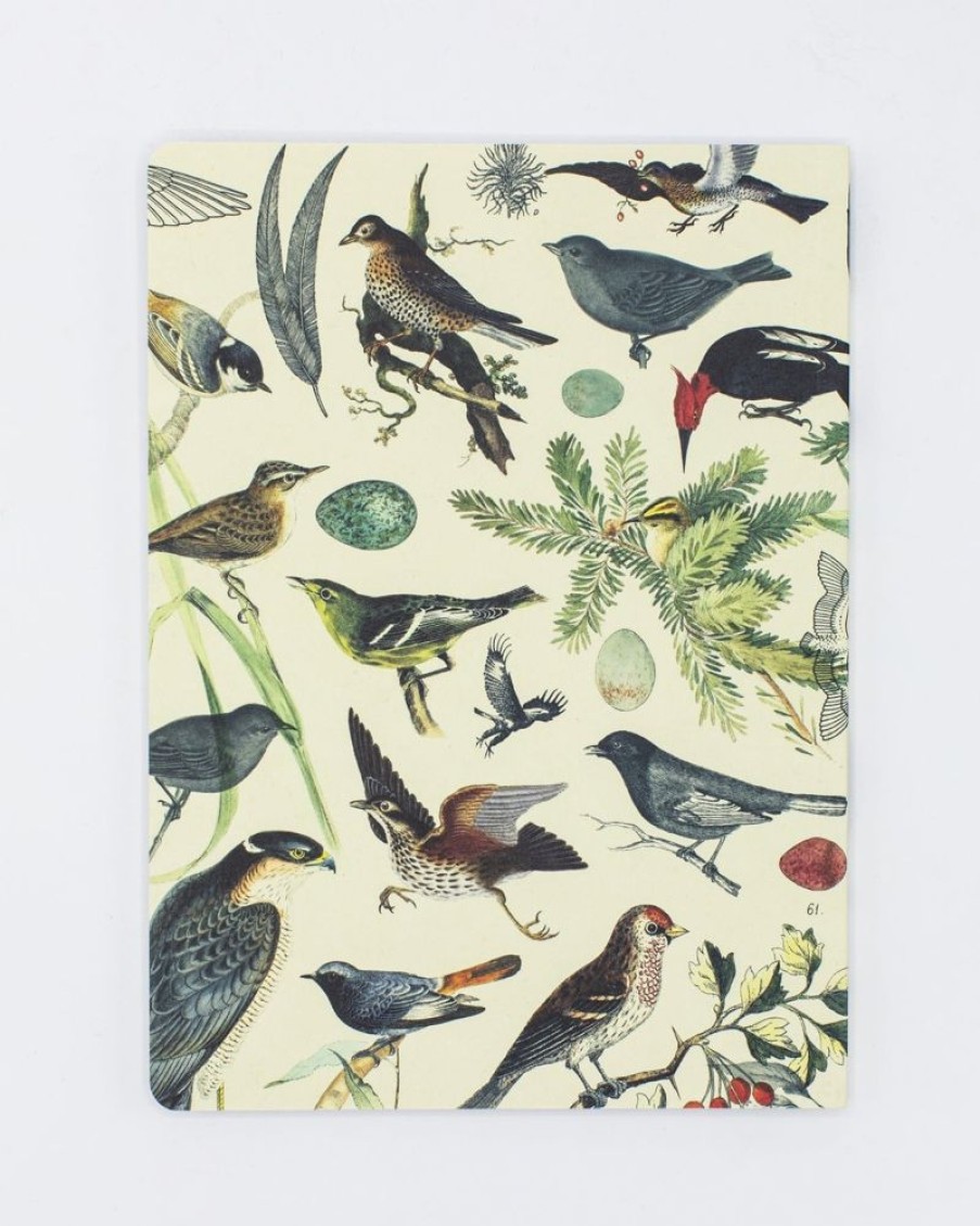 Notebooks Cognitive Surplus | Birds Of Prey Notebook - Softcover| Ecology