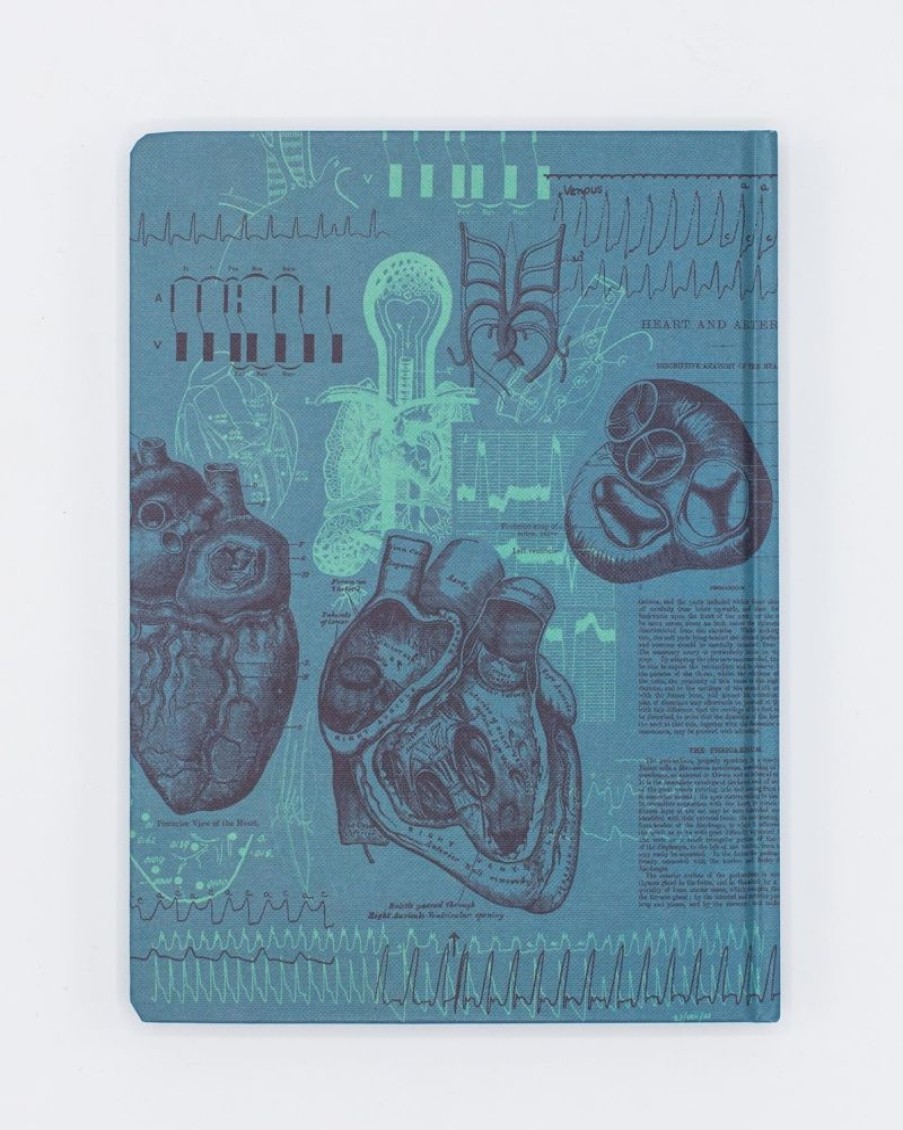 Notebooks Cognitive Surplus | Cardiology Hardcover Notebook | Anatomical Heart Notebook