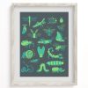 Wall Art Cognitive Surplus | Retro Insects Museum Print