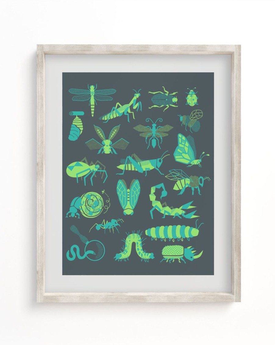 Wall Art Cognitive Surplus | Retro Insects Museum Print