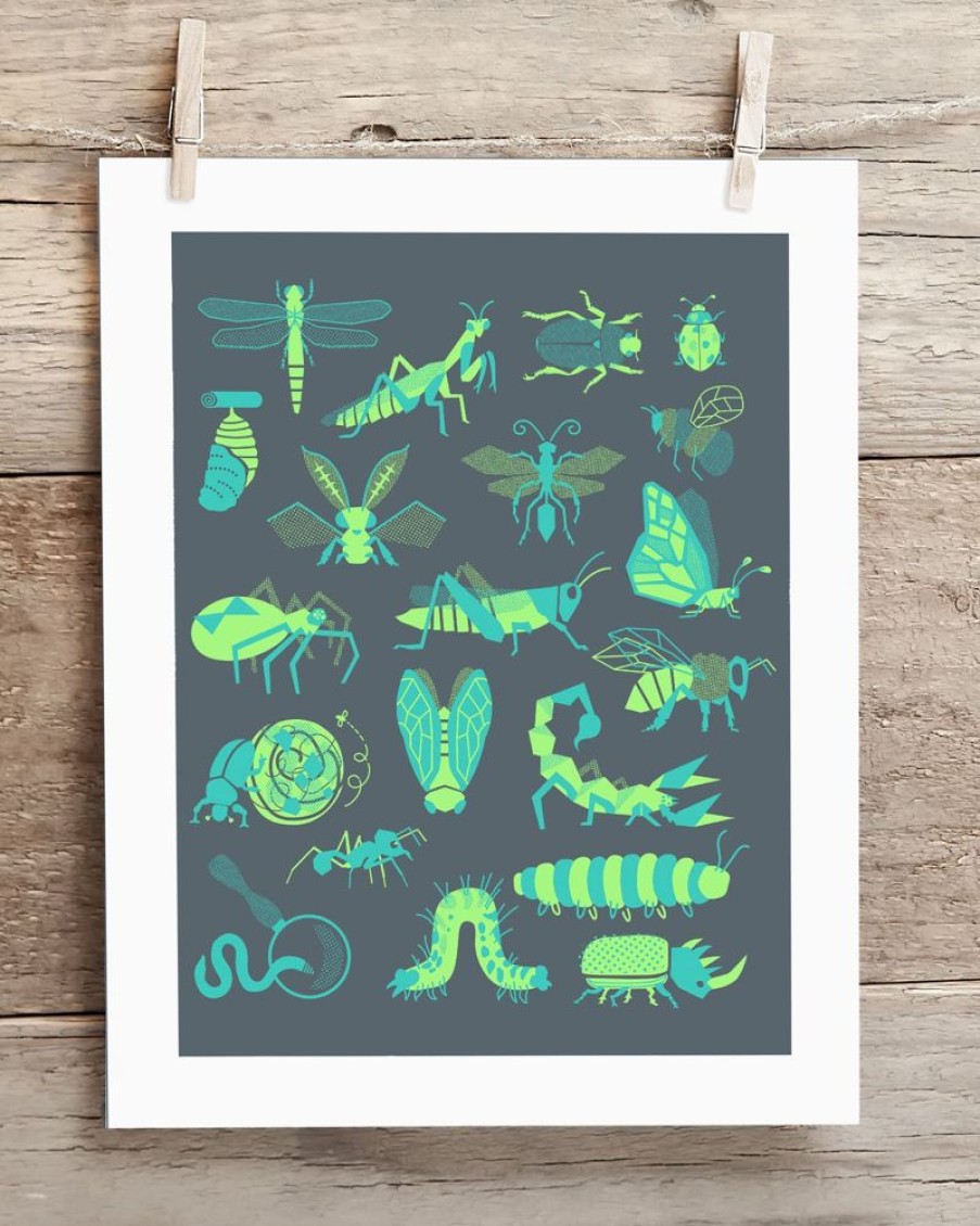 Wall Art Cognitive Surplus | Retro Insects Museum Print