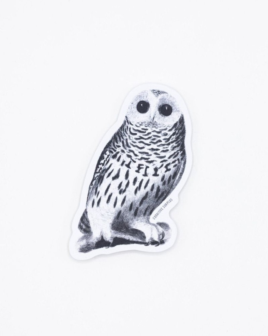 Stationery Cognitive Surplus | Snowy Owl Sticker