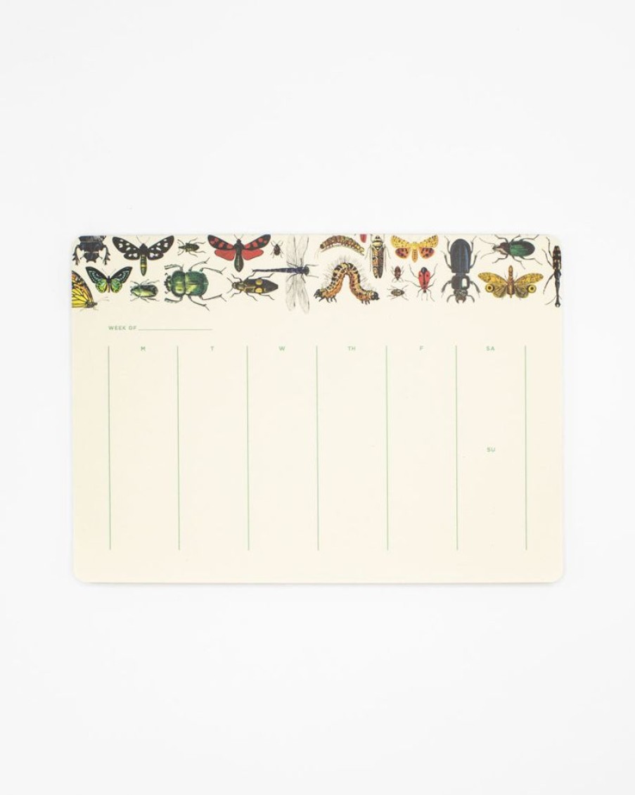 Stationery Cognitive Surplus | Garden Friends Notepads - Entomology Market Pad | Cognitive Surplus