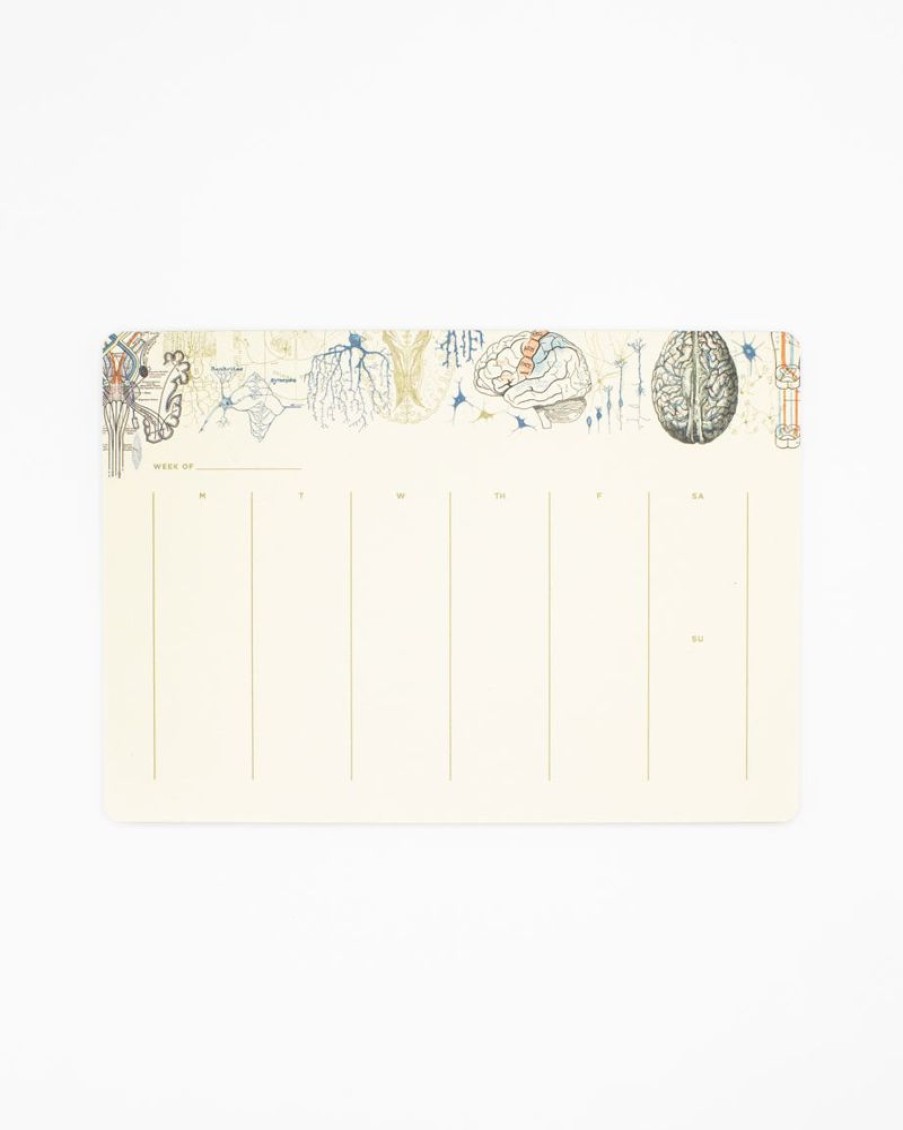 Stationery Cognitive Surplus | Brain Science Notepads - Vintage Medicine Pad | Cognitive Surplus