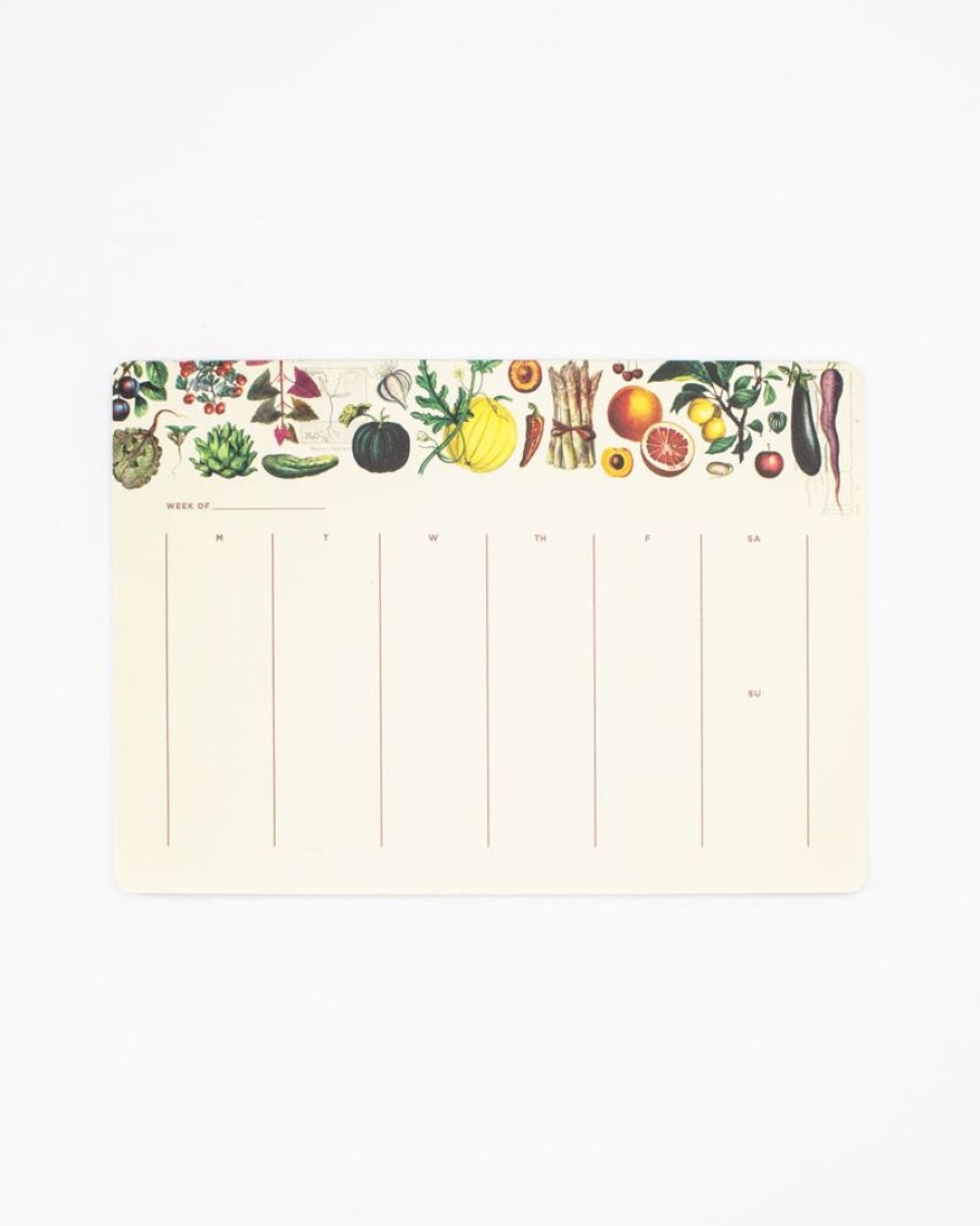 Stationery Cognitive Surplus | Cactus Notepads - Succulents Market Pad | Cognitive Surplus