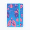 Notebooks Cognitive Surplus | Retro Anatomy Observation Softcover