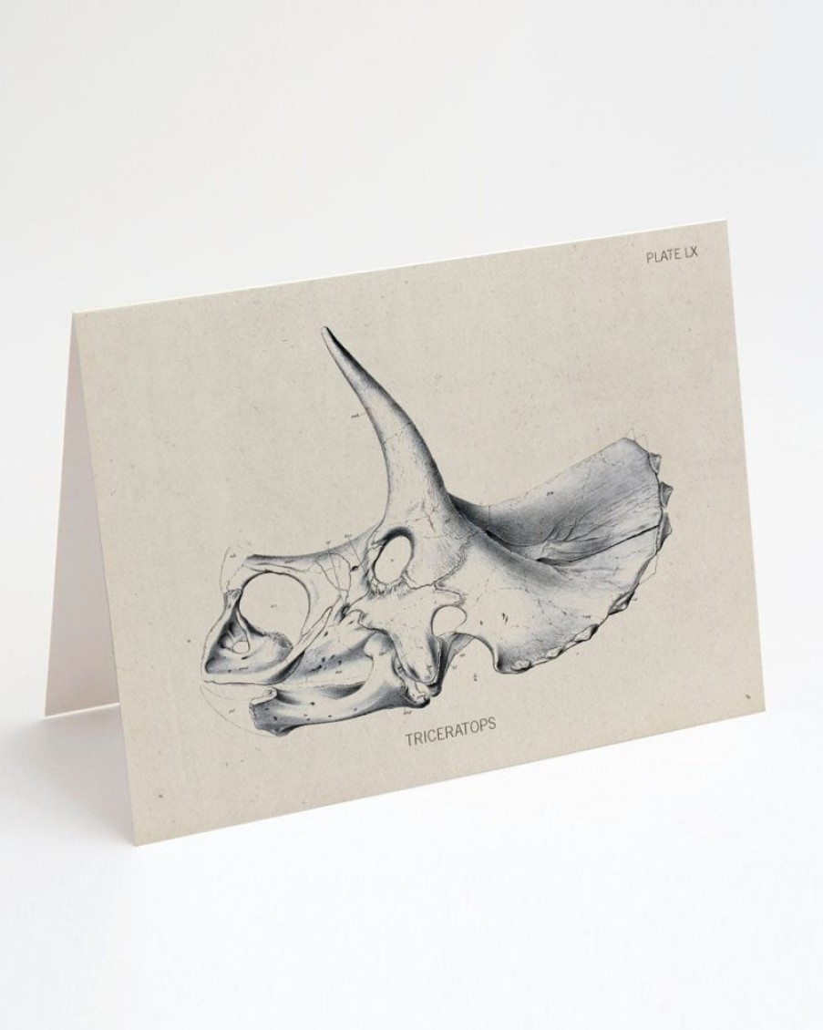 Stationery Cognitive Surplus | Triceratops Fossil Card - Dinosaur Stationery | Cognitive Surplus