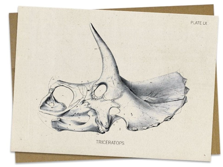 Stationery Cognitive Surplus | Triceratops Fossil Card - Dinosaur Stationery | Cognitive Surplus