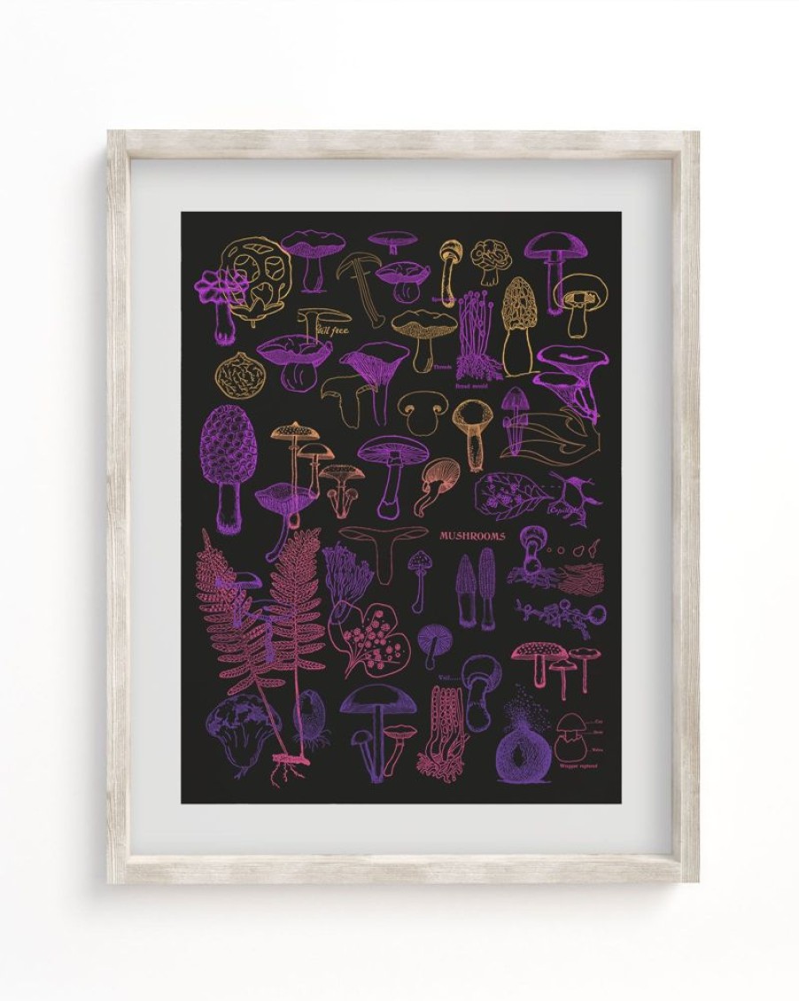 Wall Art Cognitive Surplus | Neon Fungi Scientific Illustration Museum Print