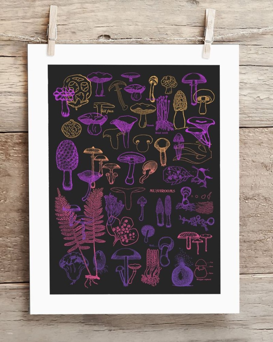 Wall Art Cognitive Surplus | Neon Fungi Scientific Illustration Museum Print