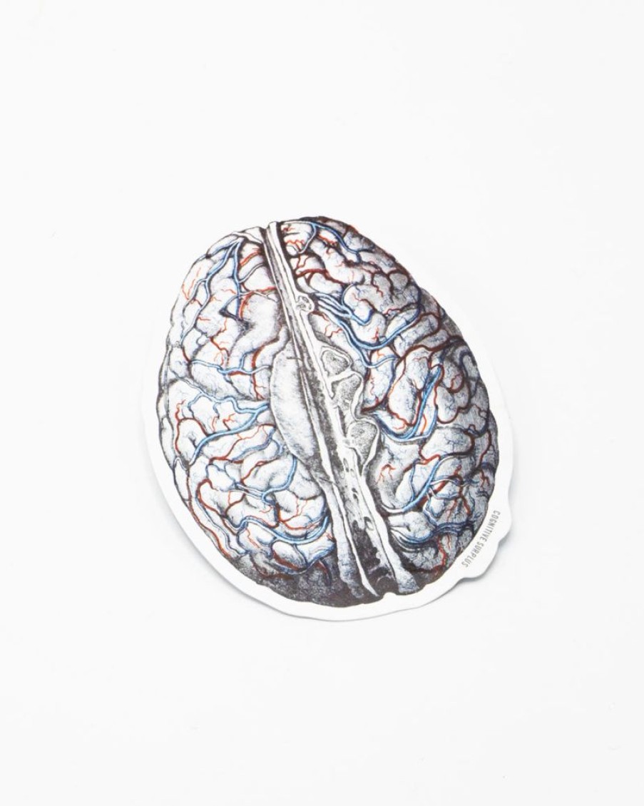 Stationery Cognitive Surplus | Brain Blood Flow Sticker