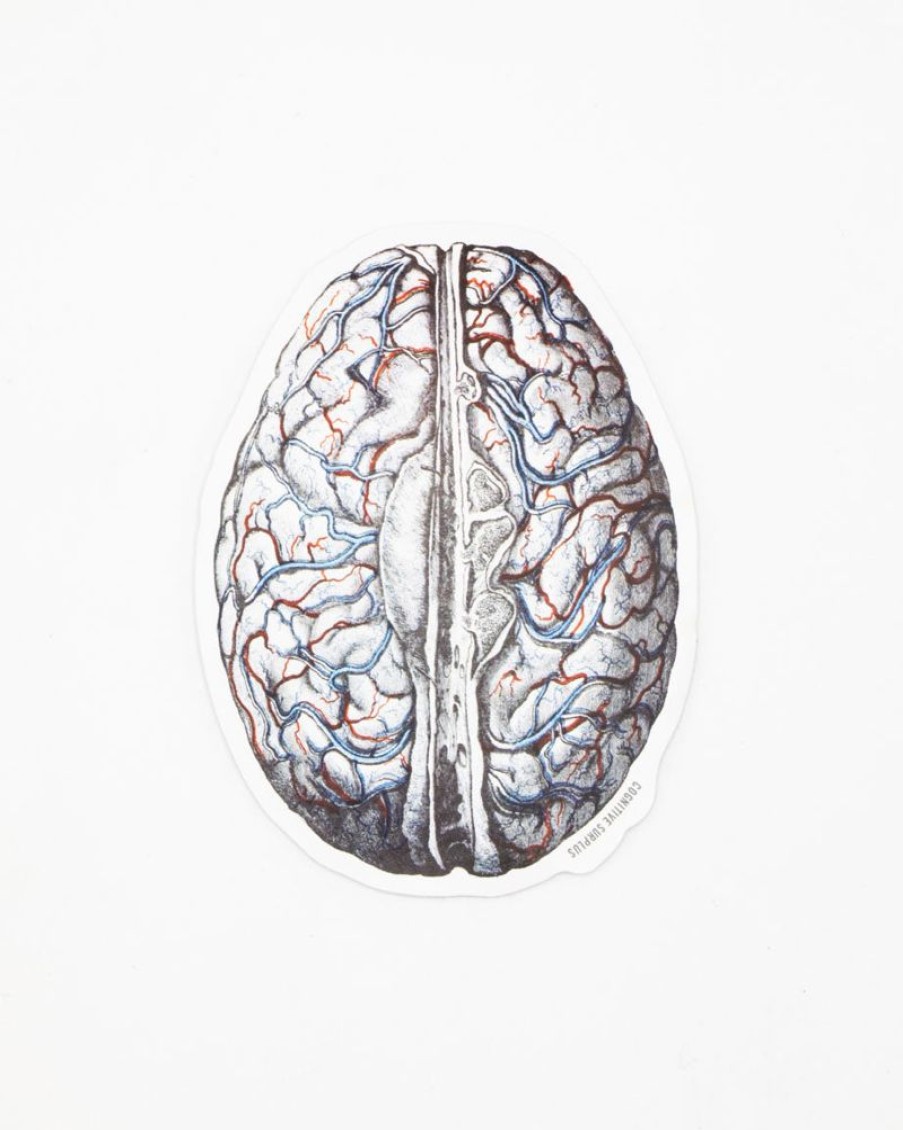 Stationery Cognitive Surplus | Brain Blood Flow Sticker