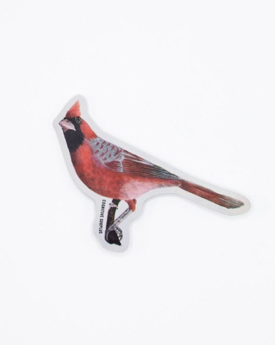 Stationery Cognitive Surplus | Cardinal Bird Sticker