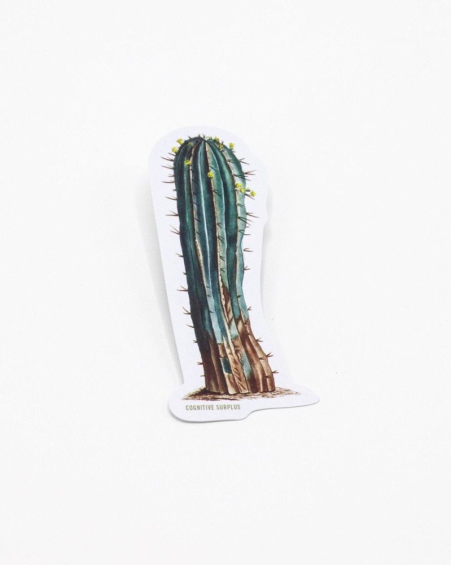 Stationery Cognitive Surplus | Cactus Sticker