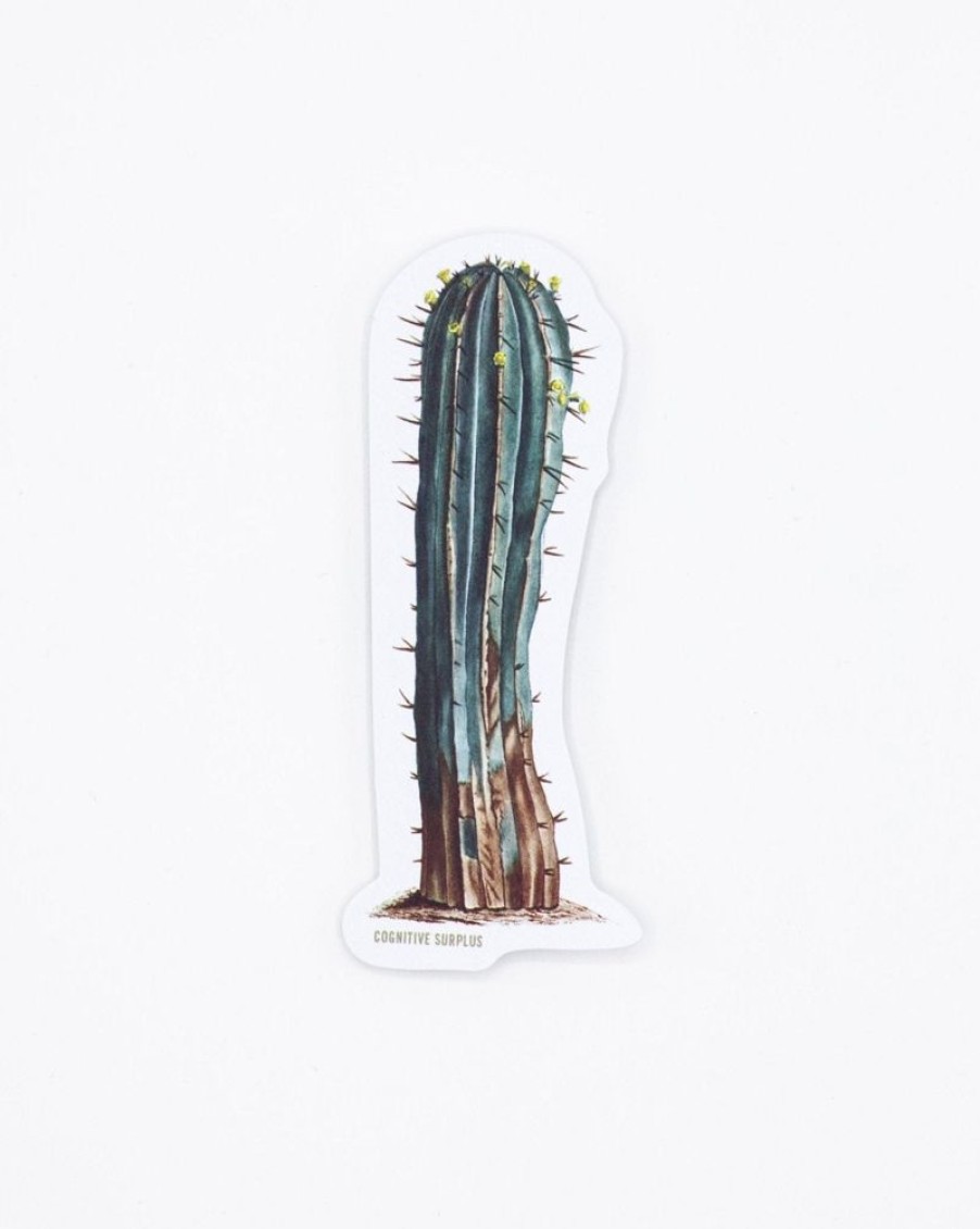 Stationery Cognitive Surplus | Cactus Sticker