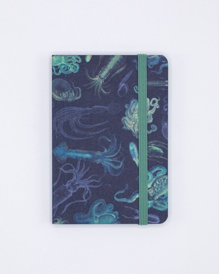 Notebooks Cognitive Surplus | Sea Monsters: Octopus & Squid Observation Softcover