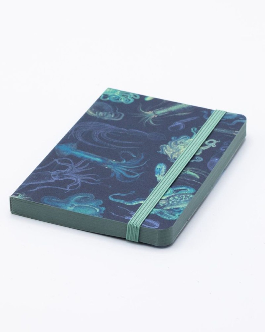 Notebooks Cognitive Surplus | Sea Monsters: Octopus & Squid Observation Softcover