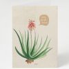 Stationery Cognitive Surplus | Science Sympathy Card - Sorry You Got Burned | Cognitive Surplus