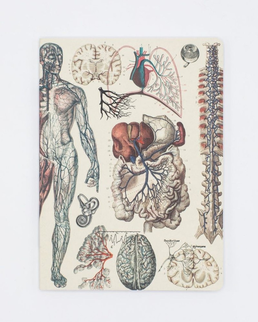 Notebooks Cognitive Surplus | Anatomy: Vascular Softcover Notebook - Lined