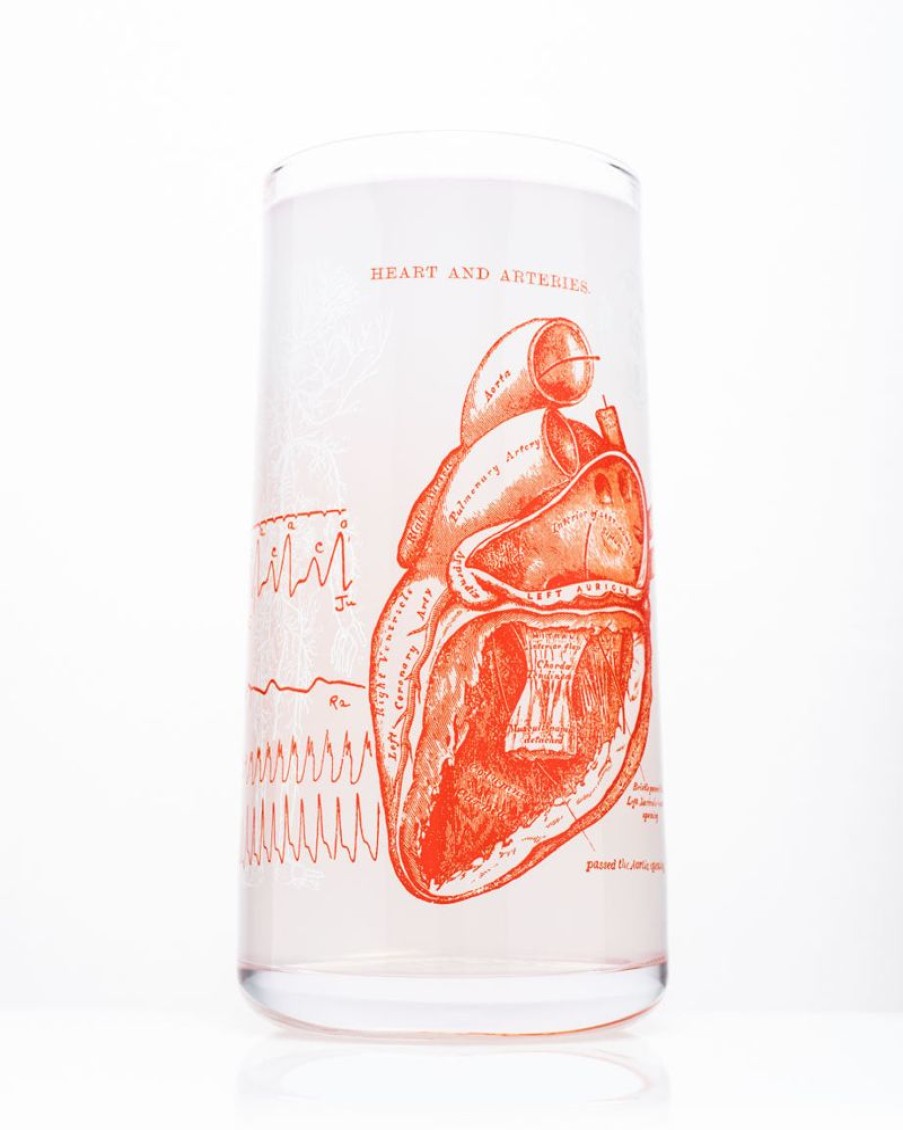 Kitchen + Bar Cognitive Surplus | Anatomical Heart Drinking Glass Tumbler Glass | Cognitive Surplus