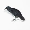 Stationery Cognitive Surplus | Raven Sticker