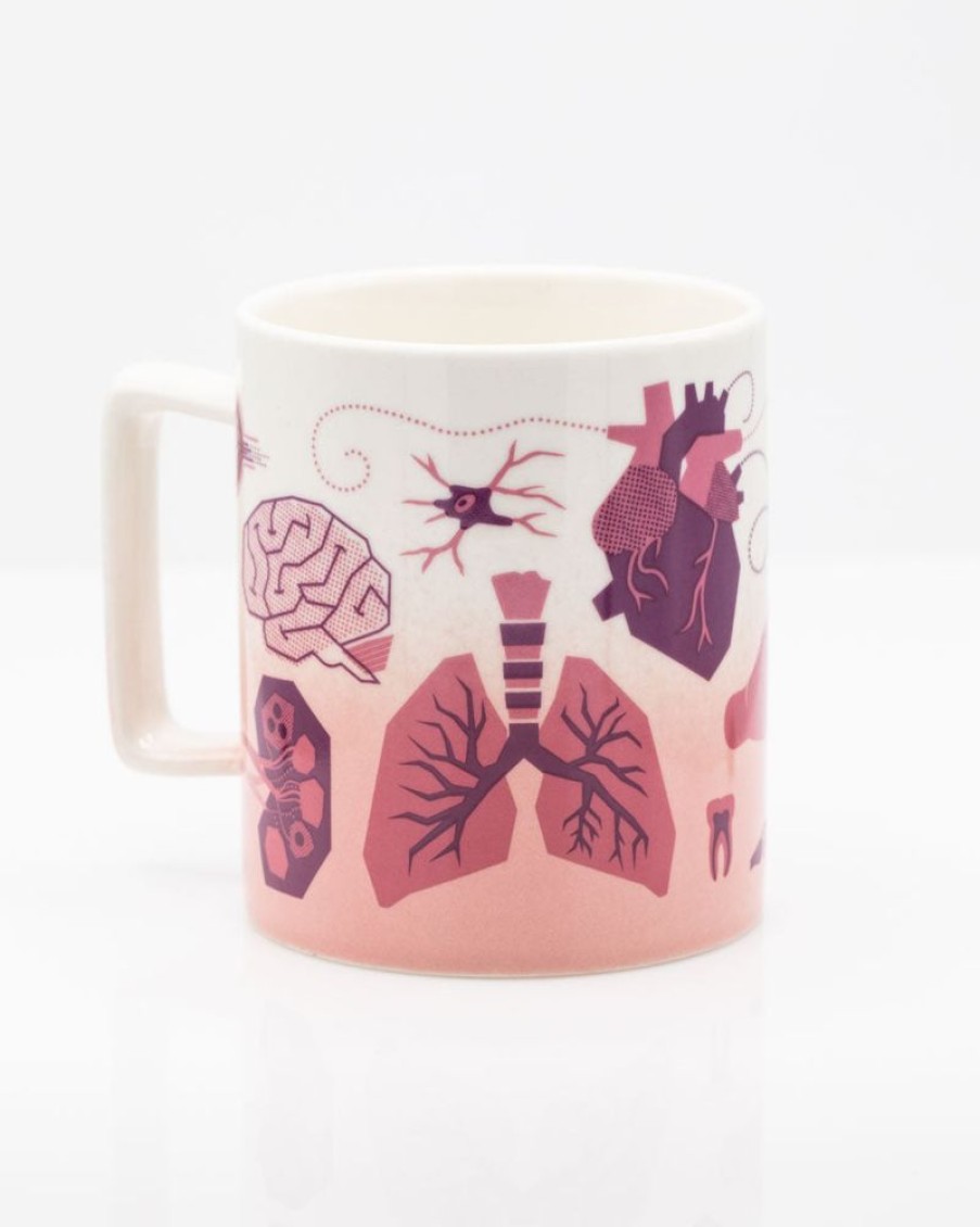 Kitchen + Bar Cognitive Surplus | Retro Anatomy Mug - Medicine Mug | Cognitive Surplus