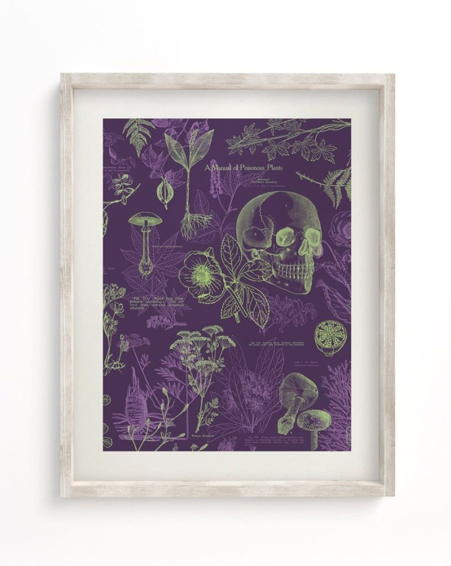 Wall Art Cognitive Surplus | Poisonous Plants Scientific Illustration Museum Print