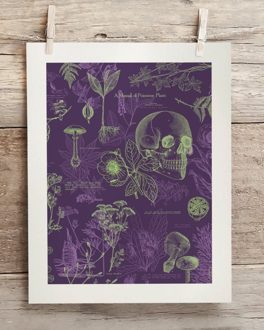 Wall Art Cognitive Surplus | Poisonous Plants Scientific Illustration Museum Print