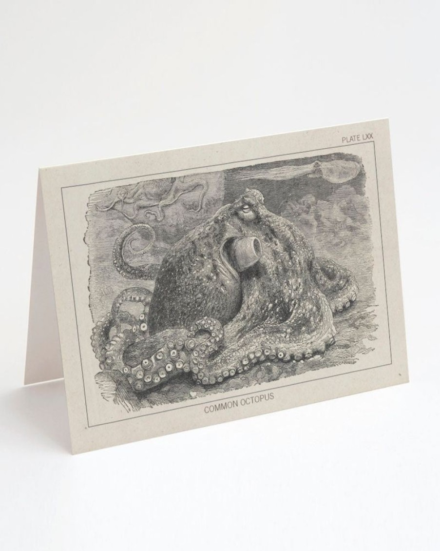 Stationery Cognitive Surplus | Octopus Greeting Card - Marine Biology Stationery | Cognitive Surplus