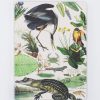 Notebooks Cognitive Surplus | Wetlands Hardcover Notebook | Ecology