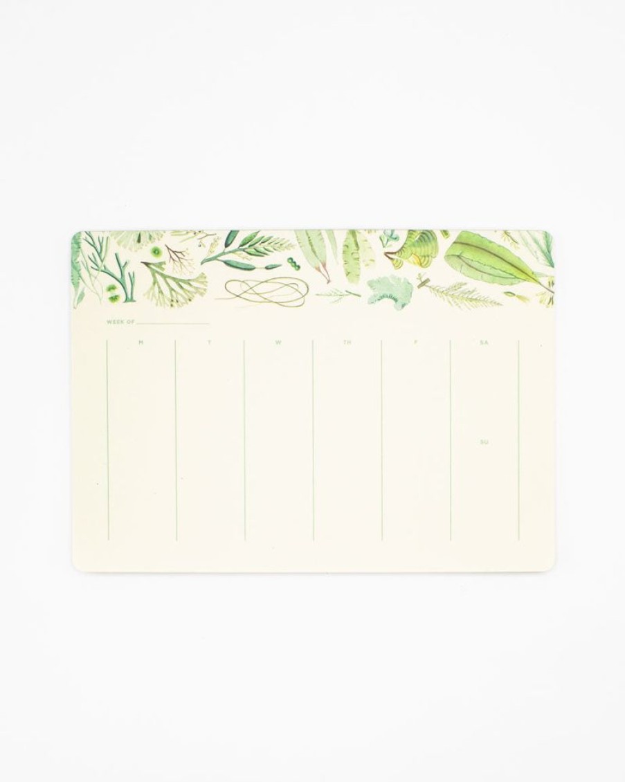 Stationery Cognitive Surplus | Seaweed Notepads - Marine Market Pad | Cognitive Surplus