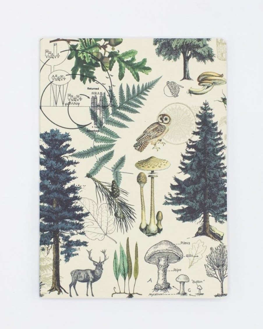 Notebooks Cognitive Surplus | Tree Notebook - Softcover | Hiking Journal