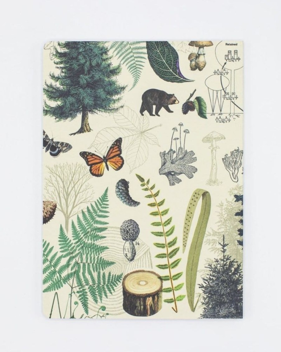 Notebooks Cognitive Surplus | Tree Notebook - Softcover | Hiking Journal