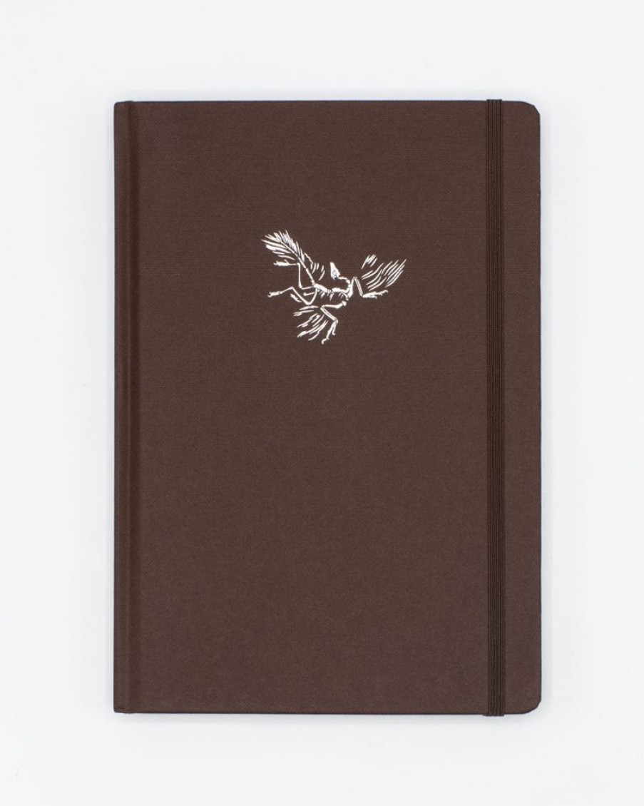 Notebooks Cognitive Surplus | Paleontology - Dinosaur A5 Hardcover Notebook - Dotted Lines Earth Brown