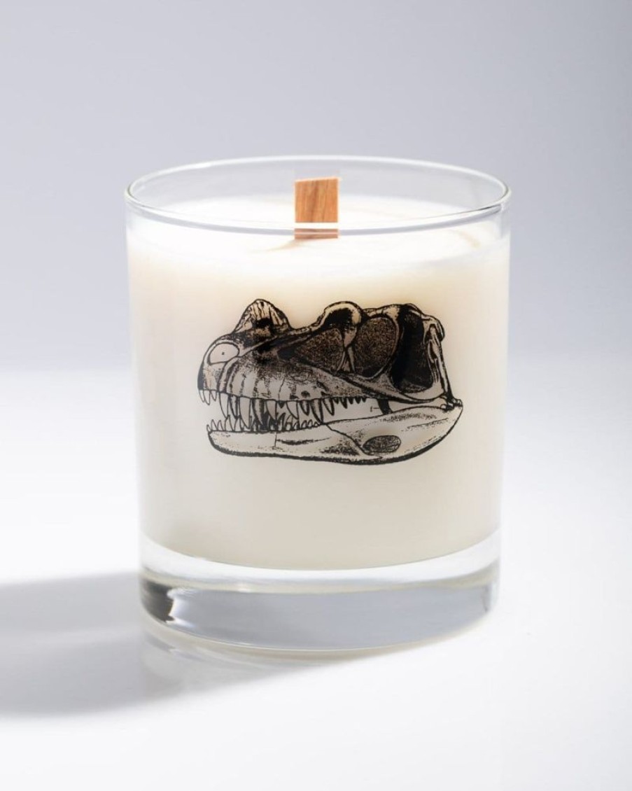 Home Cognitive Surplus | Dino Skull Cocktail Candle