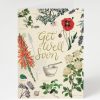 Stationery Cognitive Surplus | Get Well: Medicinal Botany Card - Herbal Pharmacy | Cognitive Surplus