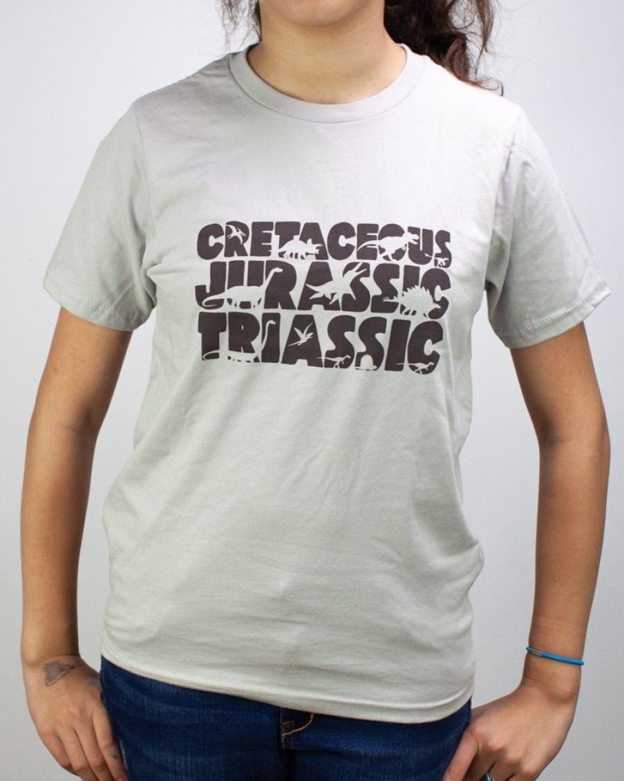 Apparel Cognitive Surplus | Youth Dino Shirt | Dino Eras T Shirt, Paleontology Tee Shirt Gray