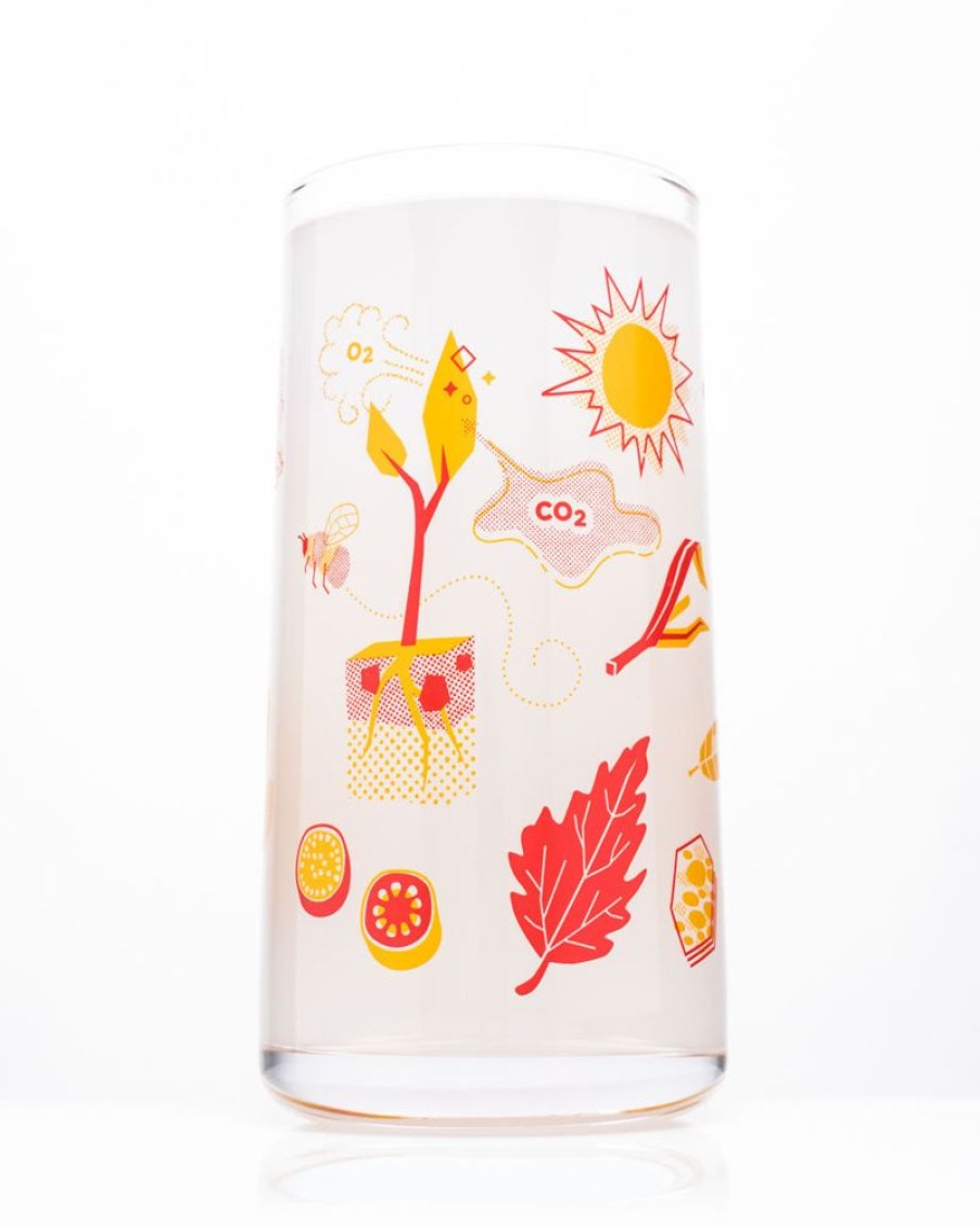 Kitchen + Bar Cognitive Surplus | Retro Botany Drinking Glass Tumbler Glass | Cognitive Surplus