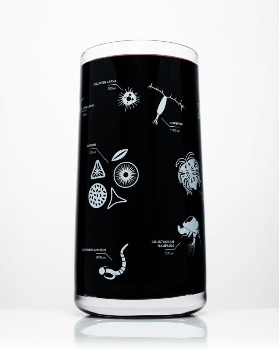 Kitchen + Bar Cognitive Surplus | Plankton Drinking Glass - Marine Biology | Cognitive Surplus