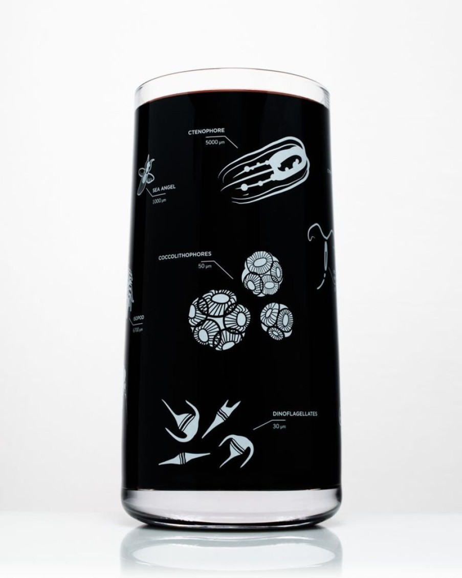 Kitchen + Bar Cognitive Surplus | Plankton Drinking Glass - Marine Biology | Cognitive Surplus